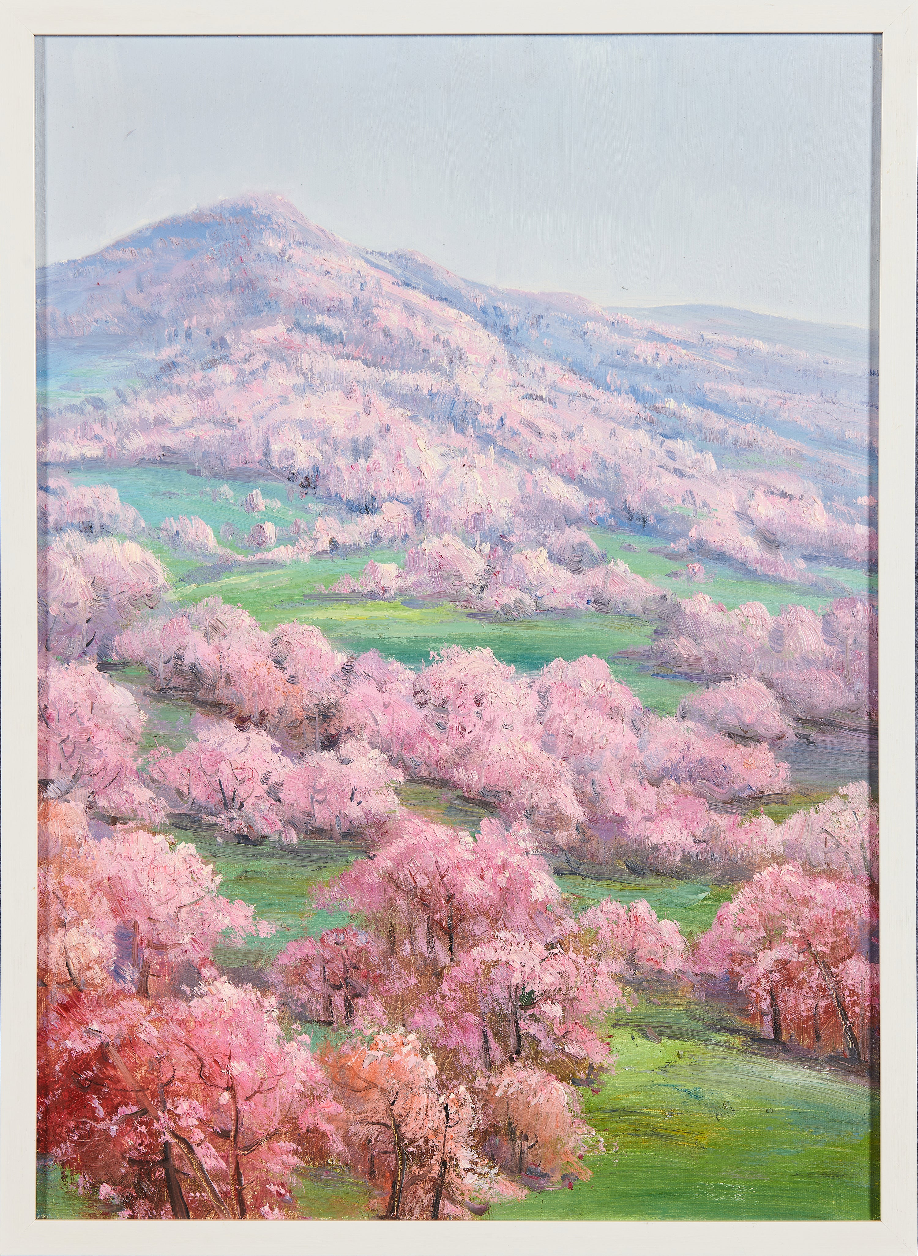 Blossom Overlook: A Valley of Pink Apricots | Original Landscape Oil Painting