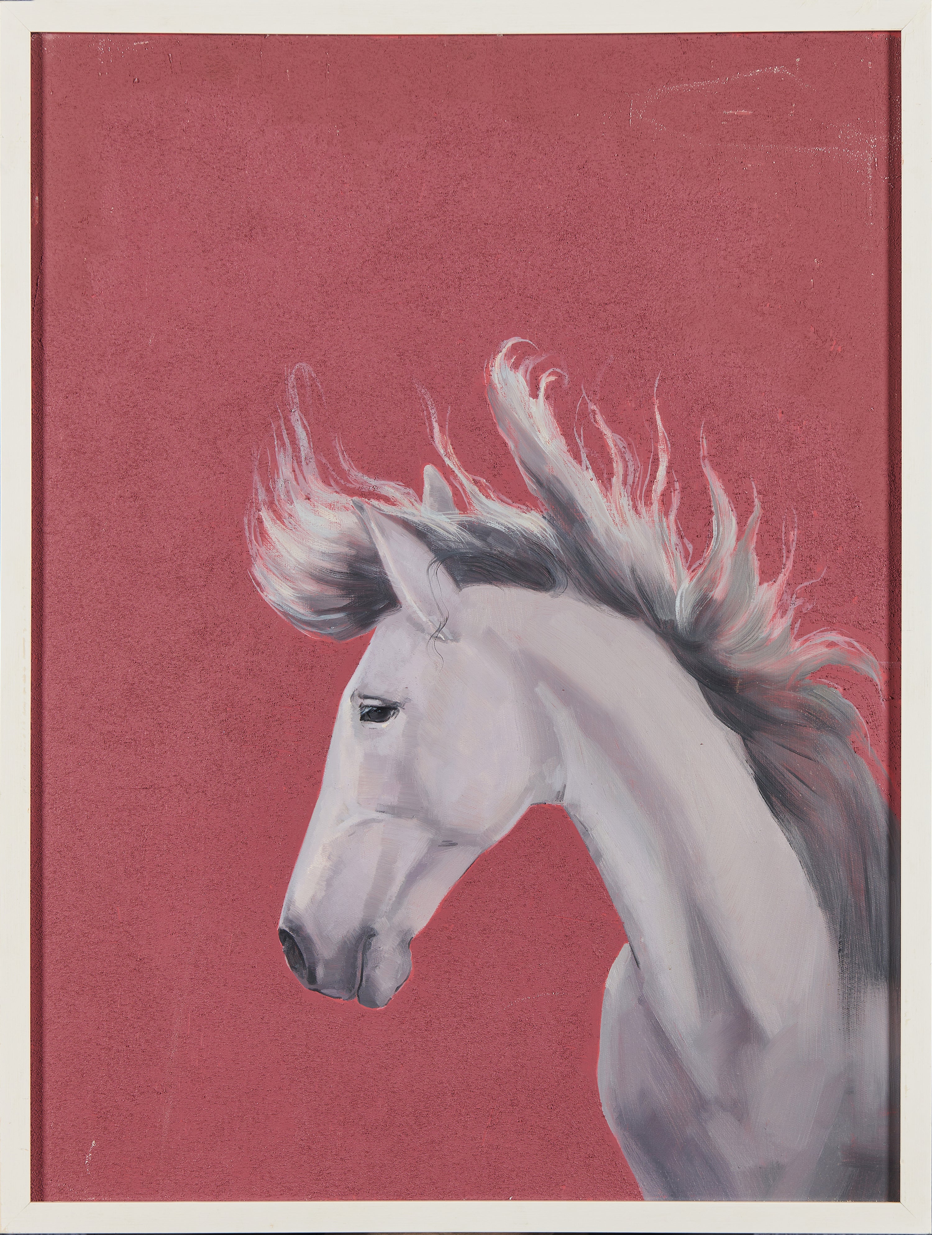Scarlet Gale & White Steed: 2026 Year of the Horse Exclusive | Original White Horse Portrait Oil Painting